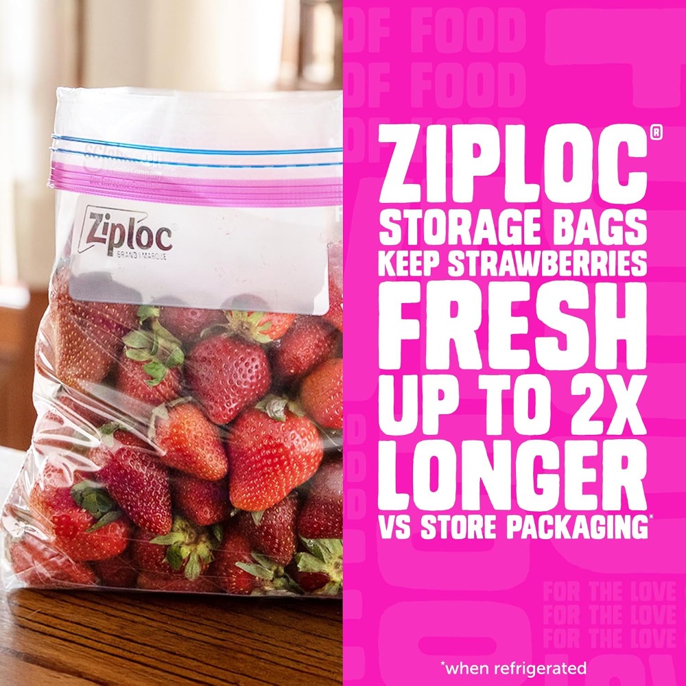 Stand Up Bottom Quart Food Sto - Meal Prep Easy review and price