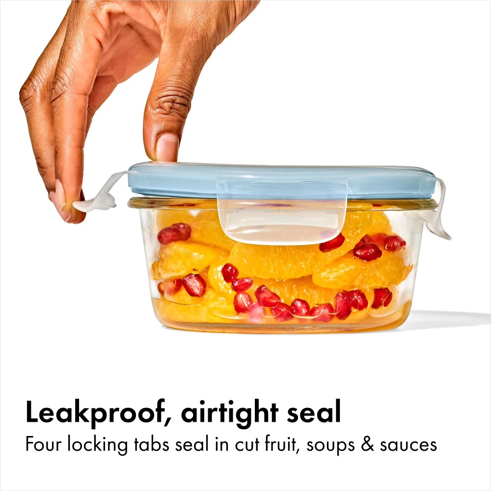 Smart Seal 2-Cup Round Glass F - Meal Prep Oven Safe Containers review and price